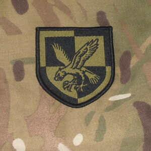 16th Air Assault 1