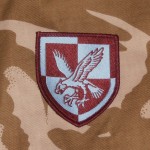 16th Air Assault maroon on blue