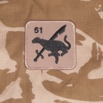 desert RAF regt patch