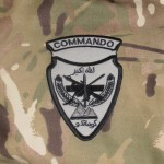 ANA SF Commando badge