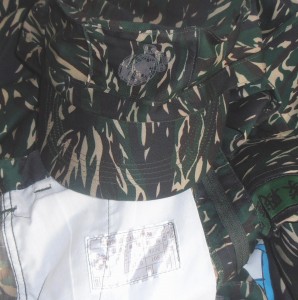 Taiwan ROC Marines