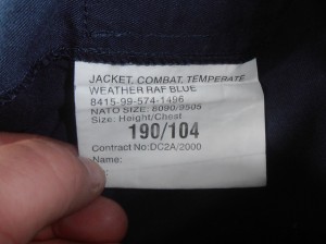 RAF temperate shirt