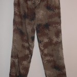 Chinese digital camo pants
